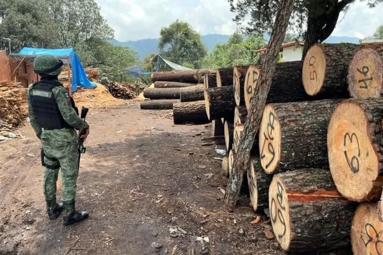 ImageTransformer (1)