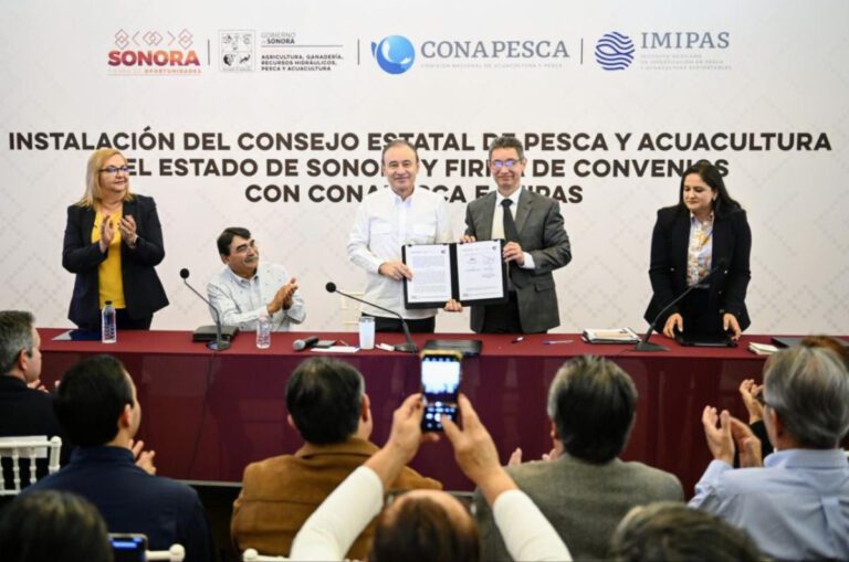 unnamed - 2025-02-26T110409.861