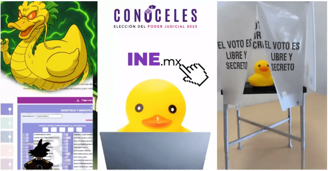 ¿Memes, patitos y anime? El INE lo intenta todo para que vayas a votar