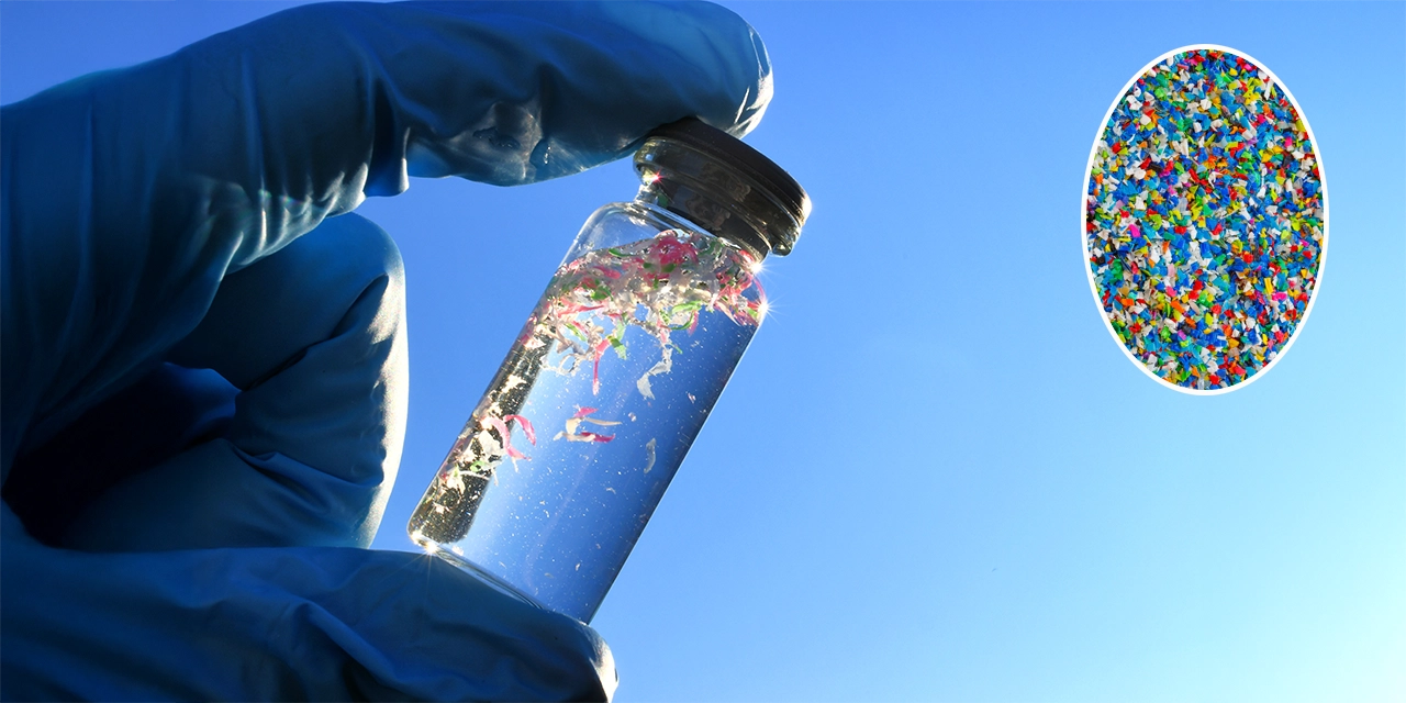 El plástico que respiras, comes y bebes: una amenaza invisible que llevas dentro