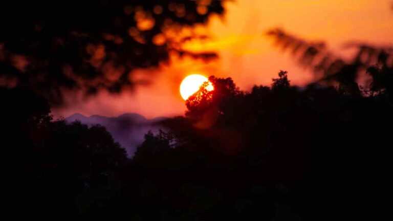 solsticio-de-verano-120232