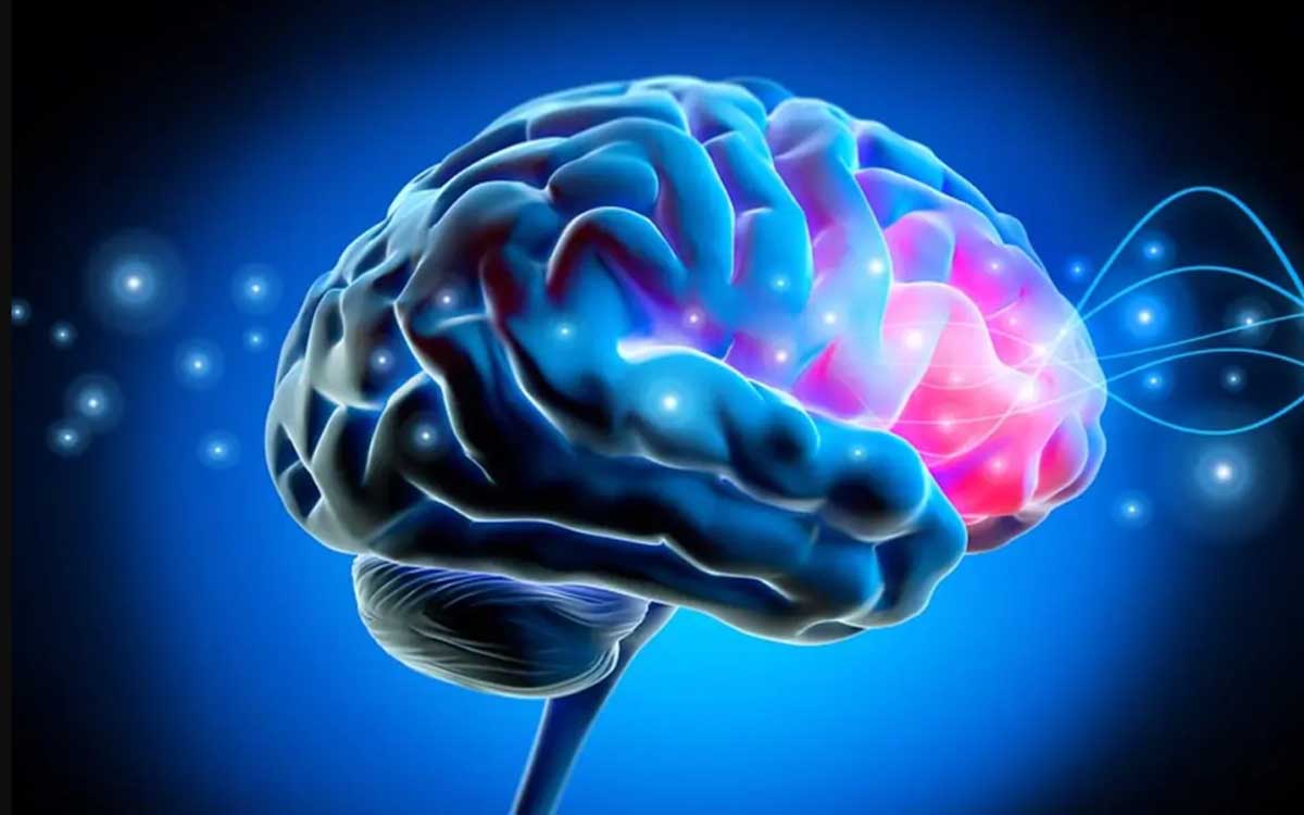 El impacto invisible: los cerebros envejecieron más rápido durante la pandemia, incluso sin infección