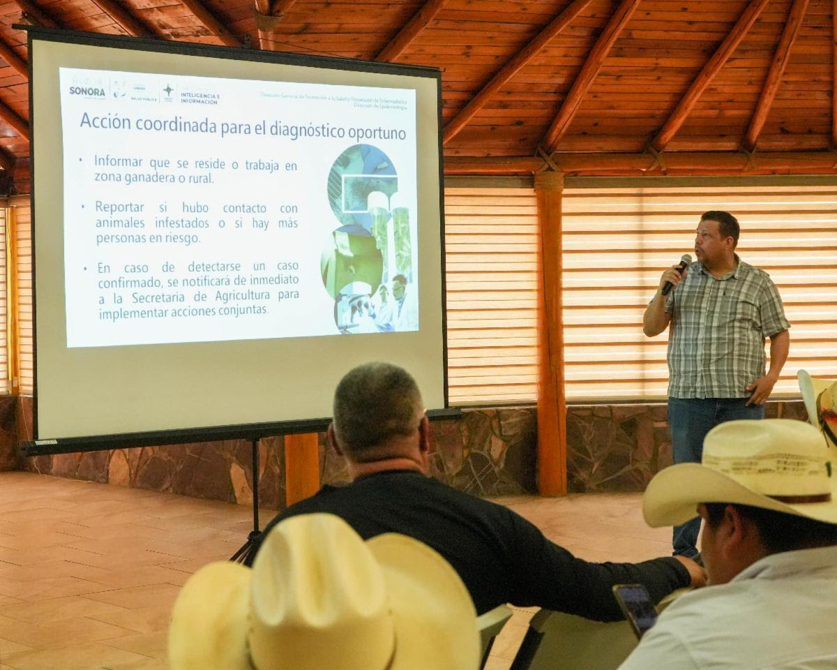 Sin casos, pero en alerta: Sonora intensifica acciones preventivas contra el gusano barrenador