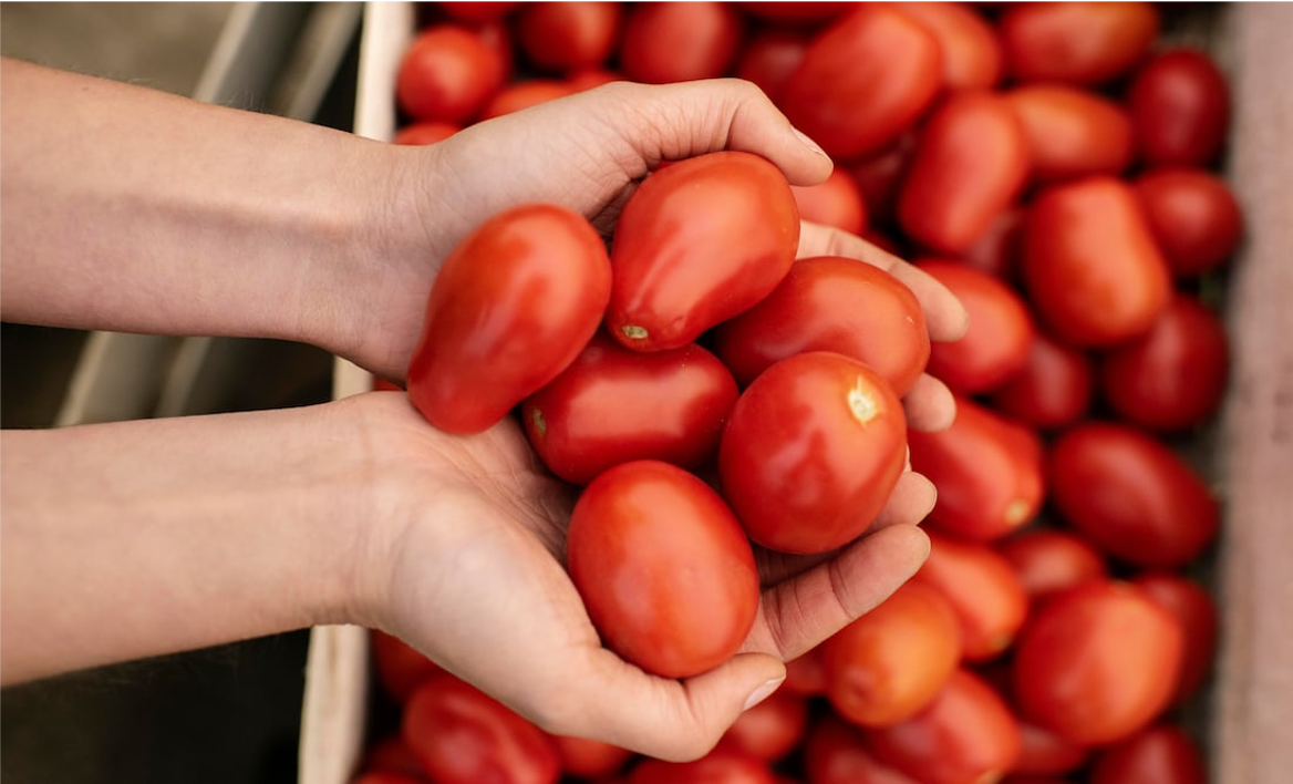 EUA impone arancel del 17% al tomate mexicano: duro golpe al campo nacional