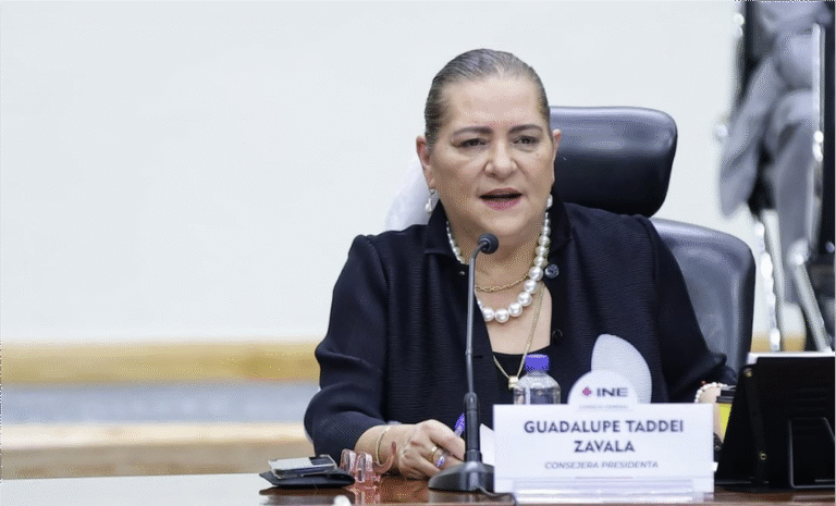 ¿Elegir al INE por voto? Taddei advierte- ‘sería un camino escabroso’