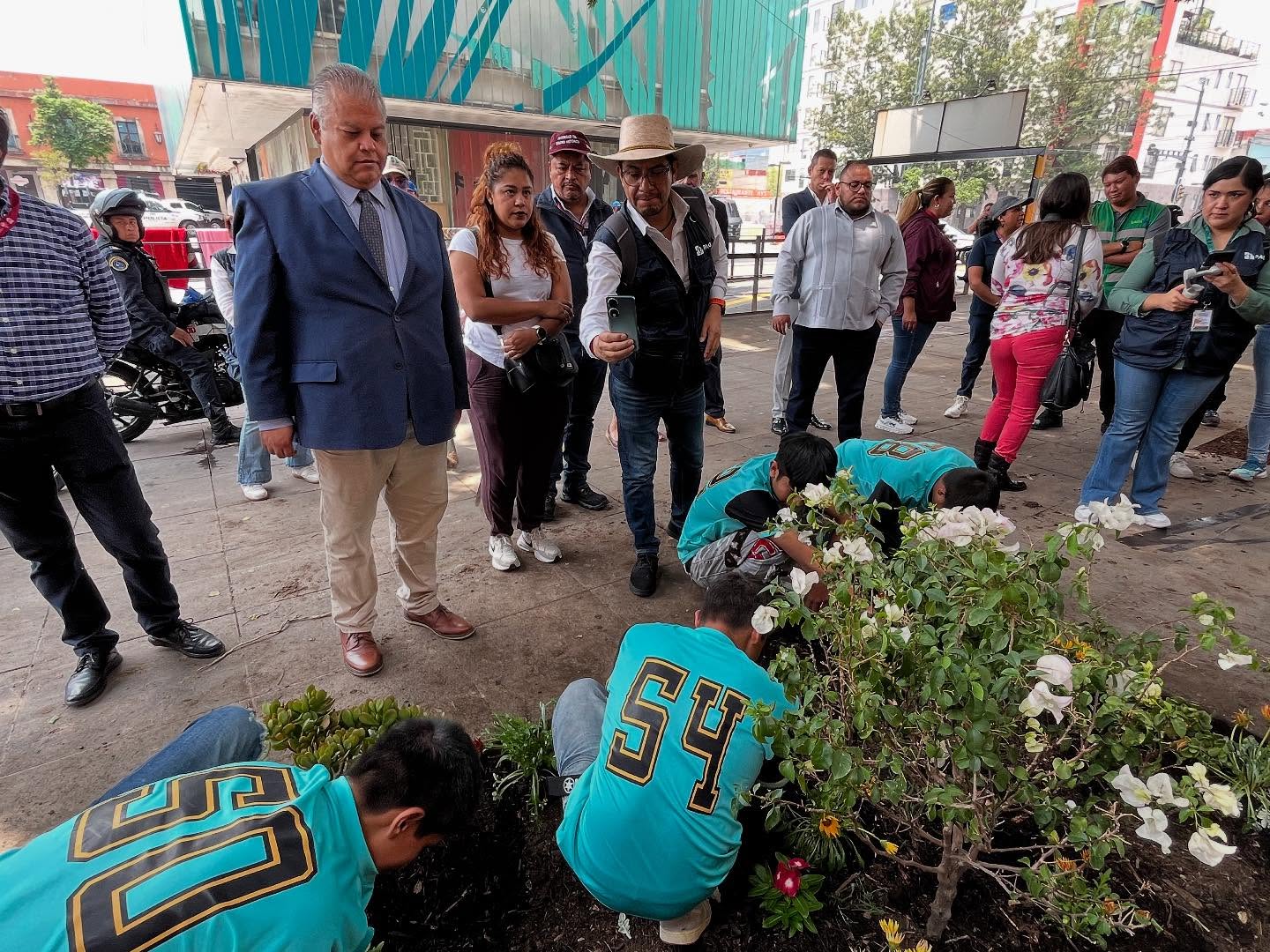 ¡Verde que te quiero verde! El Centro Histórico se llena de vida con nueva reforestación