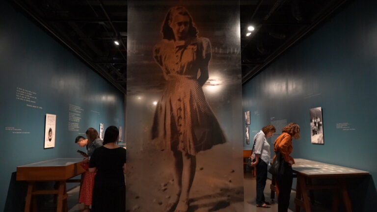 68a6220c8eeaa546300753