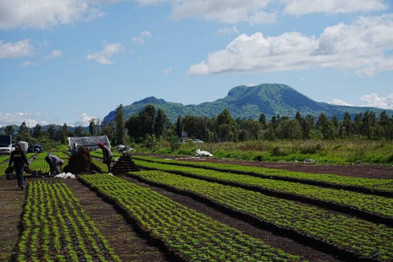 68aa3d46daaaa625012051