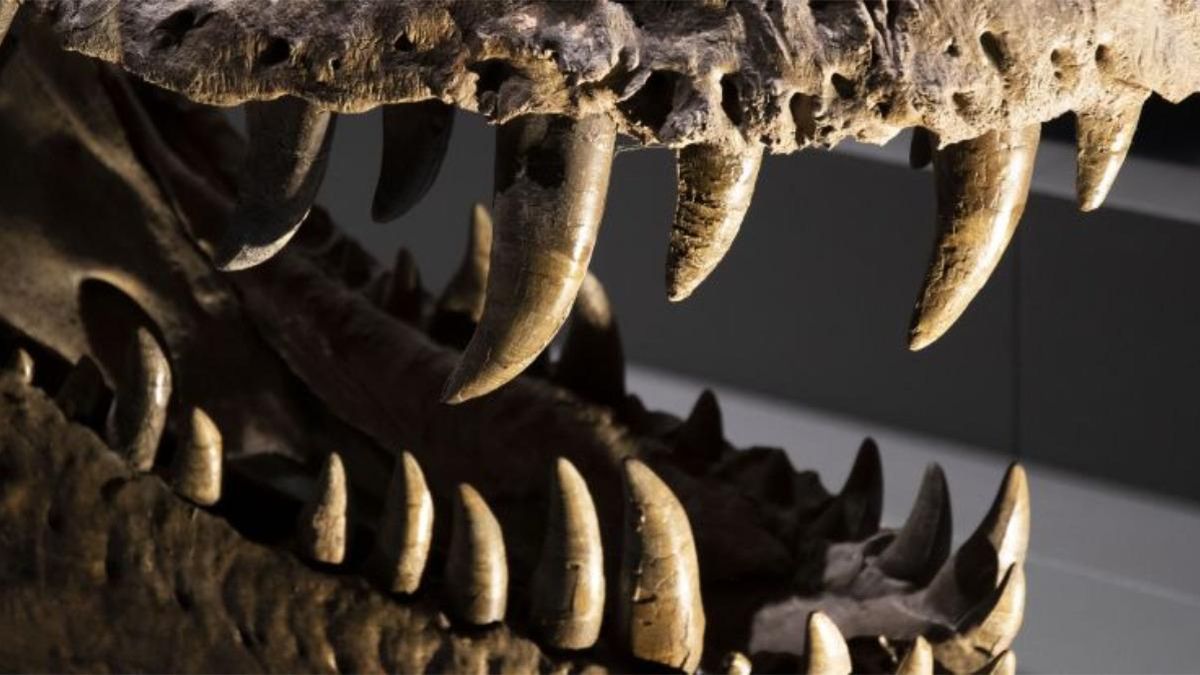 Los dientes de dinosaurio revelan un clima terrestre mucho más cálido y rico en CO₂