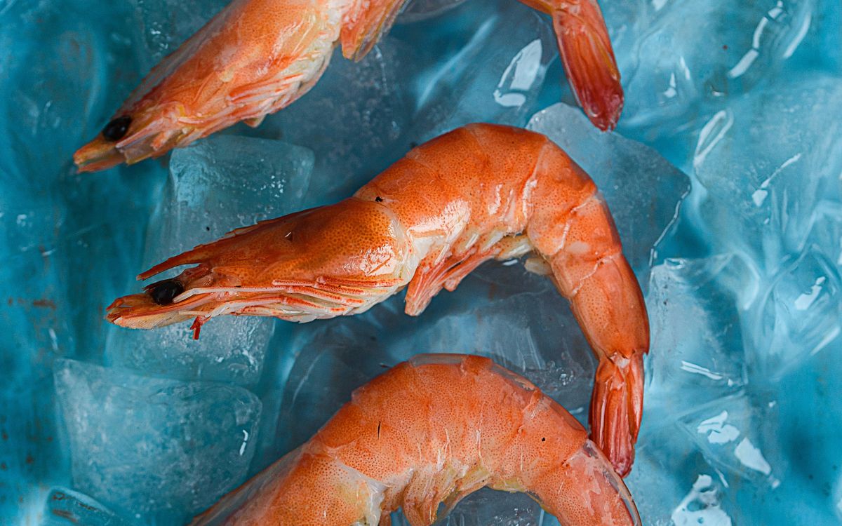 Estados Unidos alerta por posible camarón radioactivo vendido en Walmart