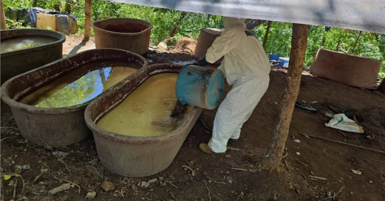 Autoridades desmantelan laboratorios y frenan 21 toneladas de droga en Durango