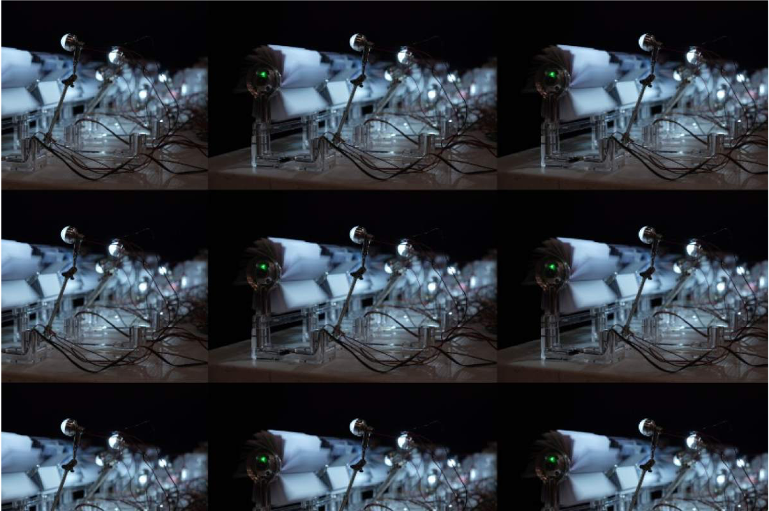 Festival Internacional de Arte Multimedia 2025: Todo lo que no te puedes perder