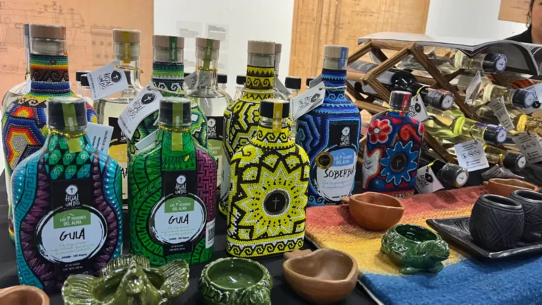 WhatsApp-Image-2025-09-08-at-9.30.49-PM-4