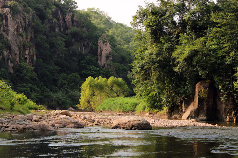 galeria-.jpg_0002_ruiz