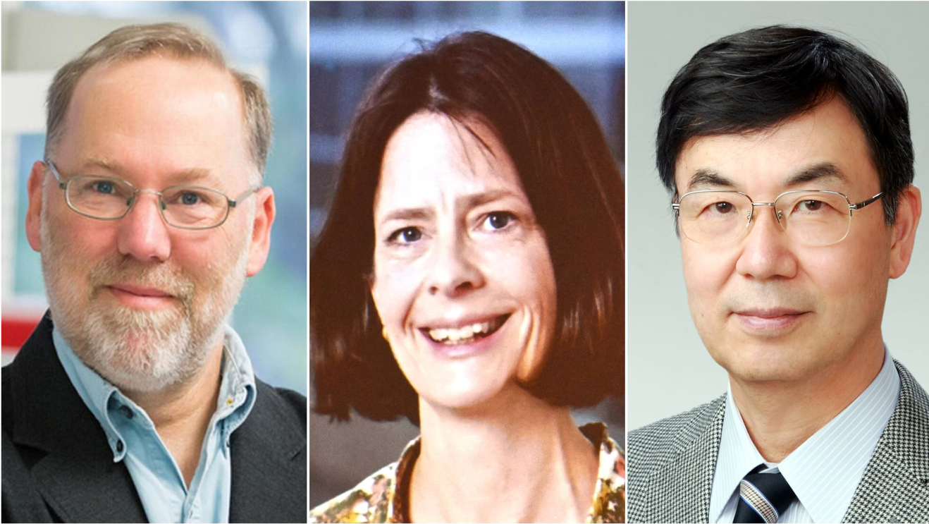 Estados Unidos y Japón conquistan el Premio Nobel de Medicina 2025