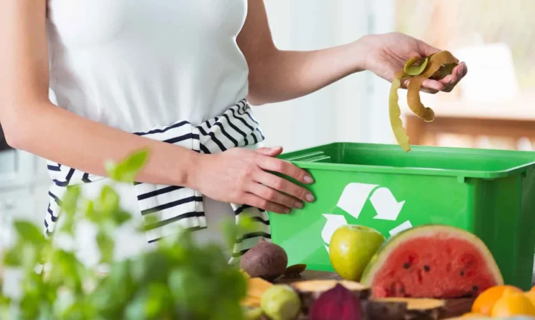importancia-de-reciclar-los-residuos-organicos