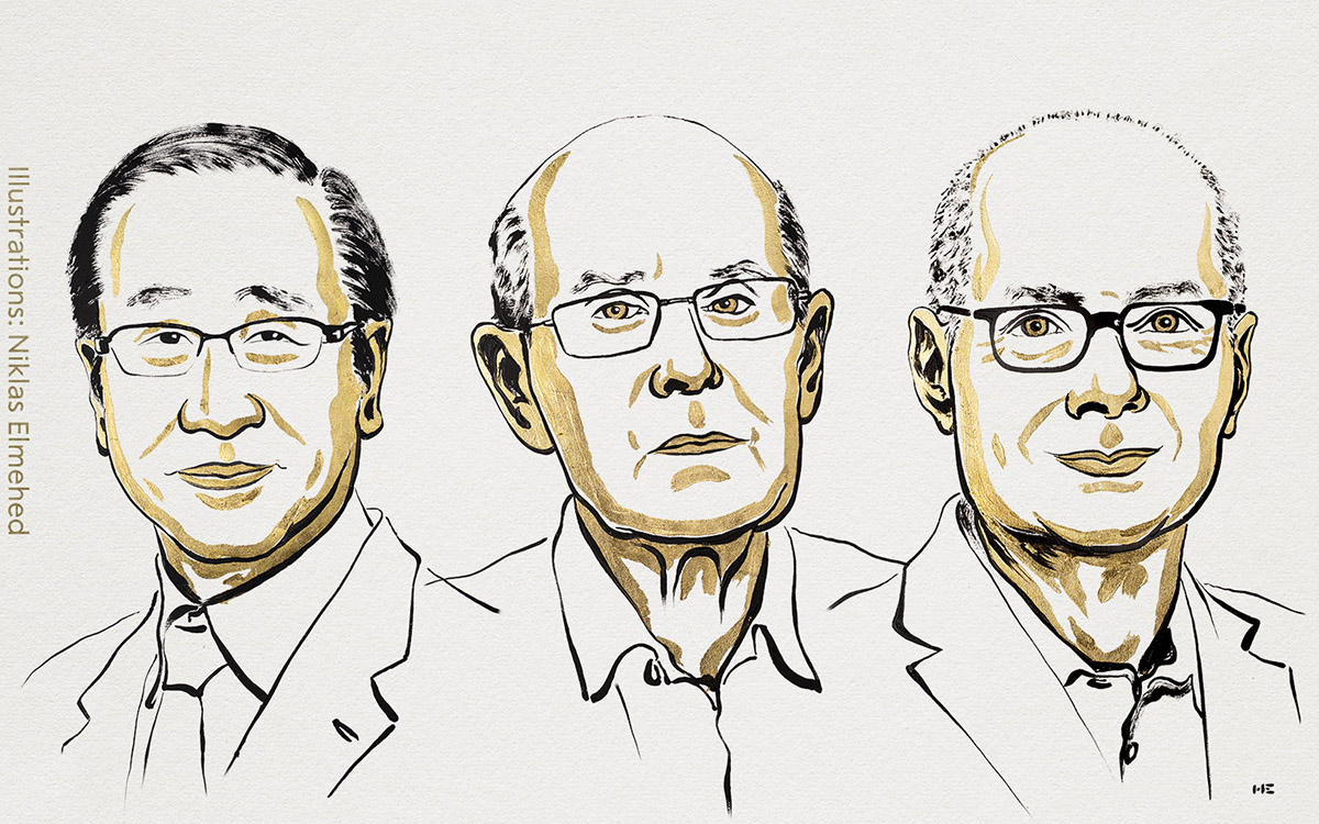 Nobel de Química 2025 para Kitagawa, Robson y Yaghi por revolucionar la ciencia de los materiales