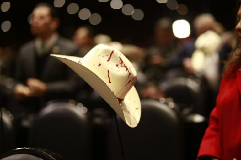 7768a5b2-7a92-467d-9f65-388736b33970