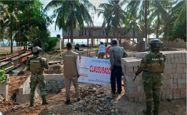 Profepa frena 31 proyectos turísticos en 14 estados por dañar manglares y humedales- así fue el megaoperativo ambiental