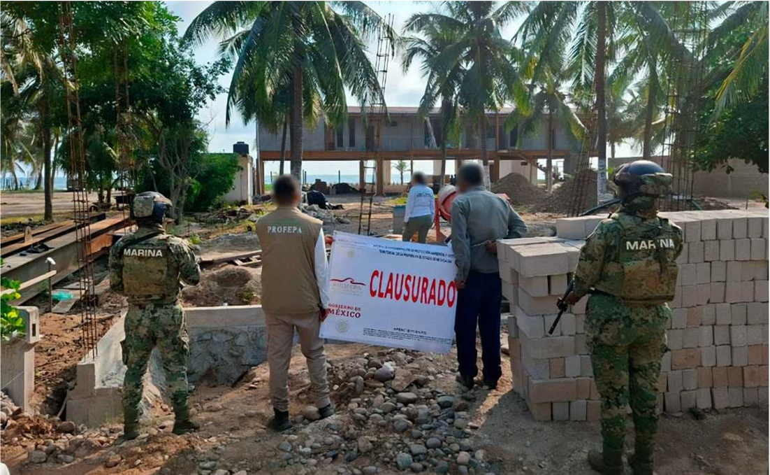 Profepa frena 31 proyectos turísticos en 14 estados por dañar manglares y humedales: así fue el megaoperativo ambiental