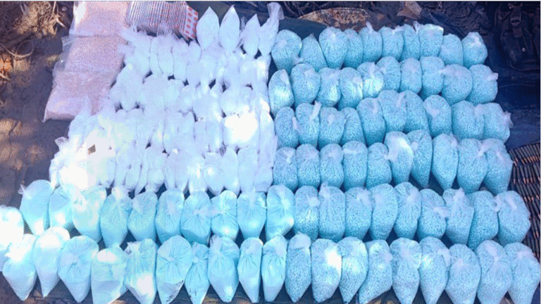 Sinaloa, Baja California y Sonora lideran los decomisos de fentanilo y metanfetamina en México