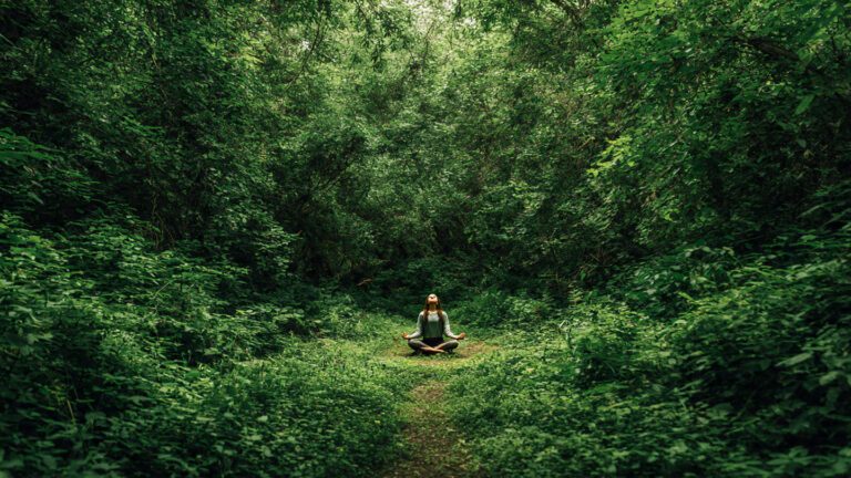 un_bosque_verde_y_frondoso_con_un (1)