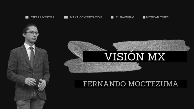 vision mx