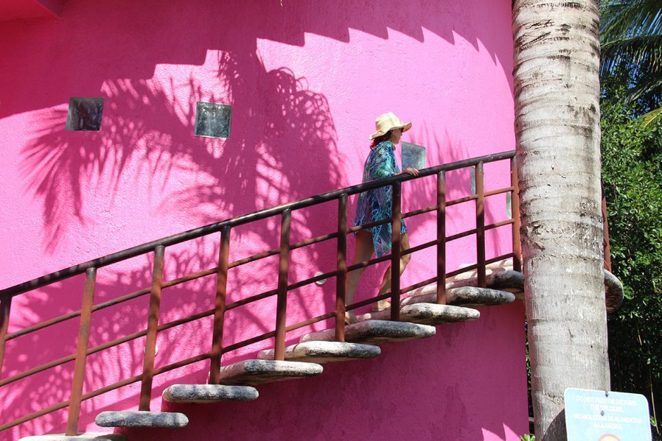 La psicología del color en tu hogar: cómo el amarillo, el rosa mexicano y el azul añil pueden mejorar tu estado de ánimo