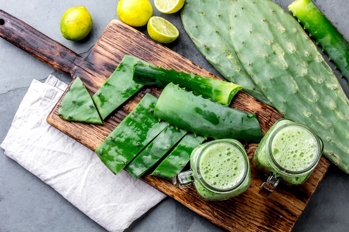 ¿Es el nopal el verdadero «superfood» olvidado? Beneficios reales más allá del mito