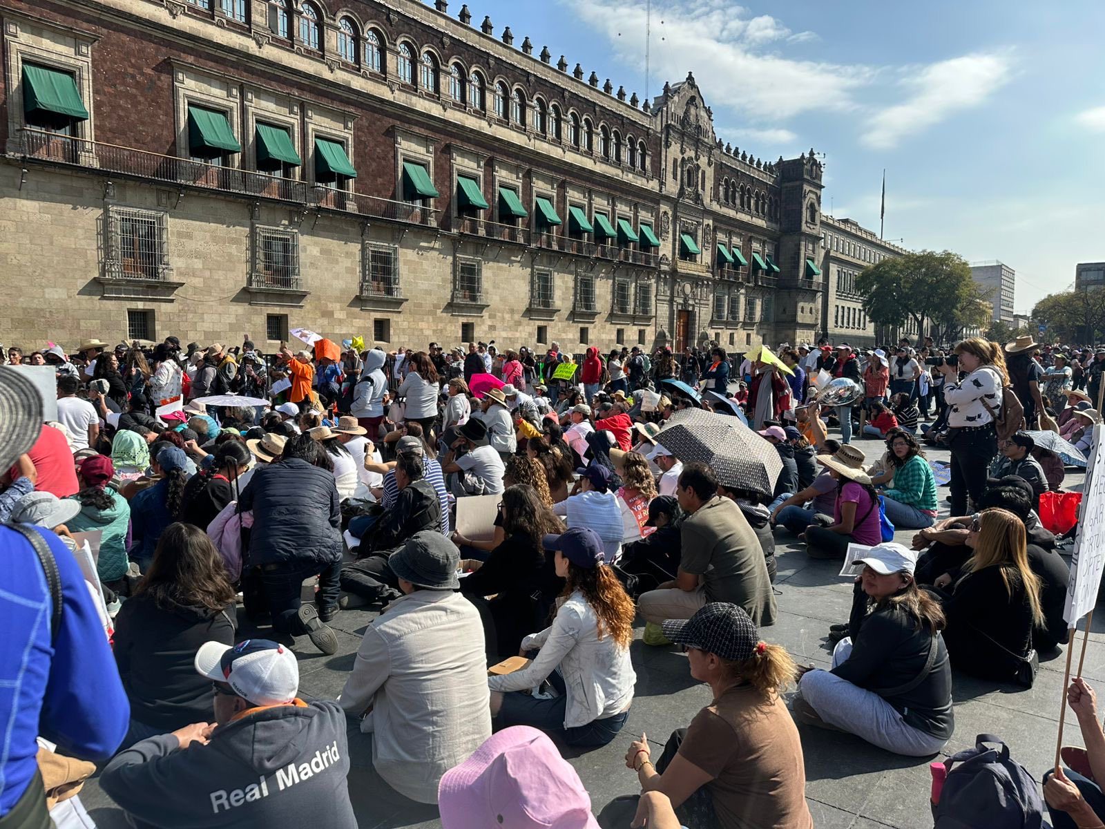 Refugio Franciscano: ¿Rescate animal o disputa por un terreno de  36 a 112 Millones de USD en Cuajimalpa?