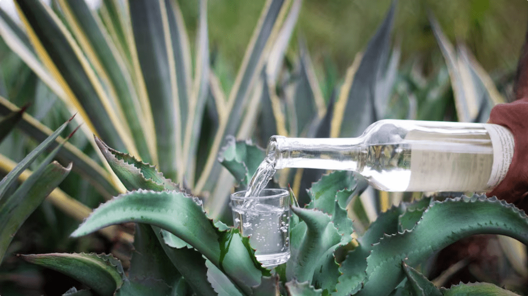 Oaxaca, el destino ideal para un San Valentín lleno de sabor y romance