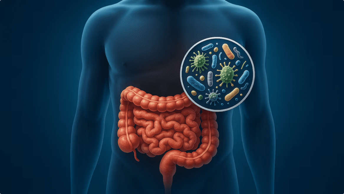 Trasplante fecal podría revertir  el envejecimiento intestinal