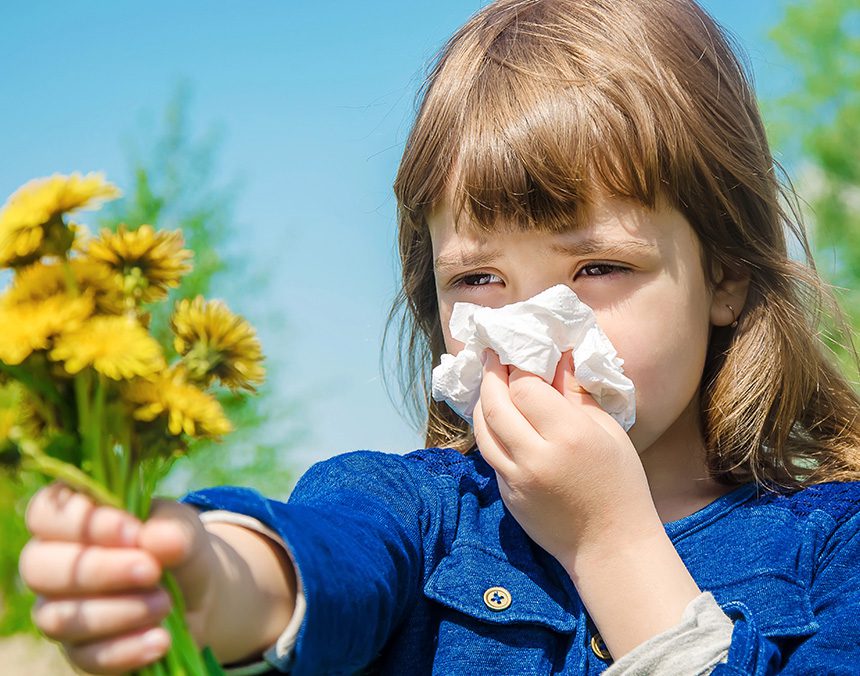 Escudo estacional: estrategias efectivas para vencer las alergias por cambio de clima