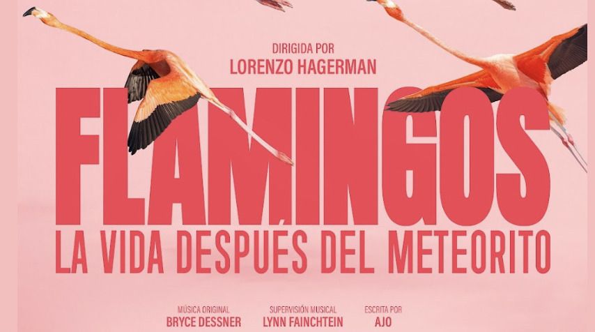 Julieta Venegas narra ‘Flamingos’: el documental que retrata la vida salvaje