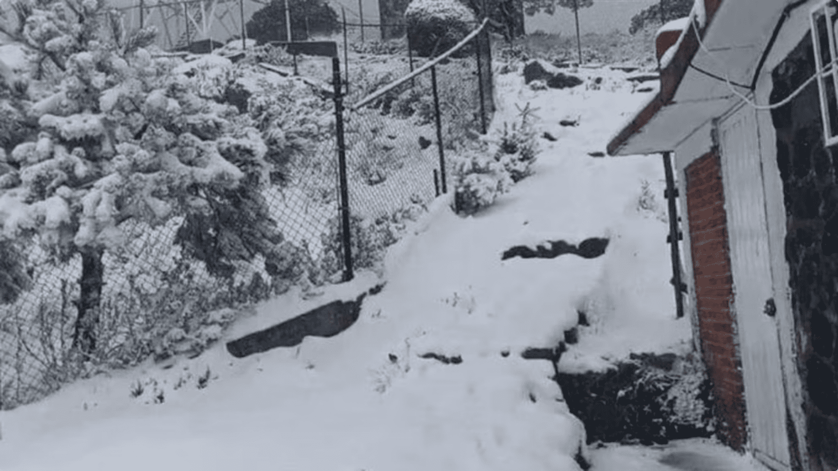 Cierran el Ajusco por nieve en plena primavera: autoridades activan medidas de seguridad