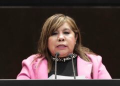 María Graciela Gaitán legisla para garantizar atención médica a bebés prematuros