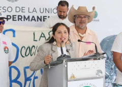 Beatriz Andrea Navarro respalda freno legal a obras en Playa Las Cocinas