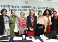 INPI y Senado definen ruta para consulta indígena y afromexicana 2026