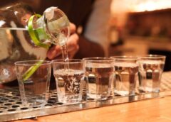 Tierra Mezcal Fest llega a Toluca: un viaje entre agaves, catas y tradición mexicana