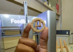 ¿Comer plástico para combatir el hambre? Científicos desarrollan galletas ricas en proteína a partir de residuos
