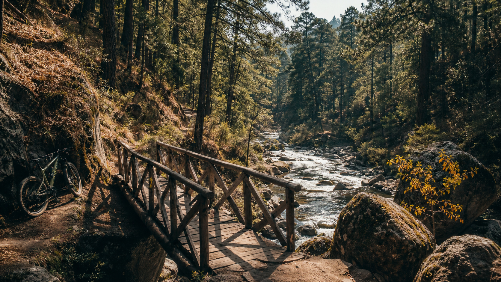 Sendero y puente sobre el rio en Los Dinamos, Ciudad de Mexico