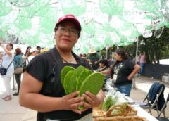 Feria del Nopal 2026: tres días para comer, descubrir y celebrar al ingrediente más mexicano