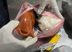Aseguran más de 8 kilos de cocaína en el AICM