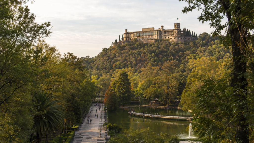 Vista del Bosque de Chapultepec en la Ciudad de México, con un sendero arbolado y el Castillo de Chapultepec al fondo.