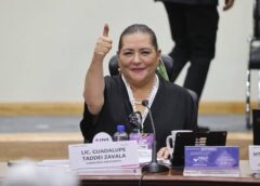 Renuncia de Taddei al INE: Alito Moreno criticó a Morena y Monreal trazó la ruta del relevo